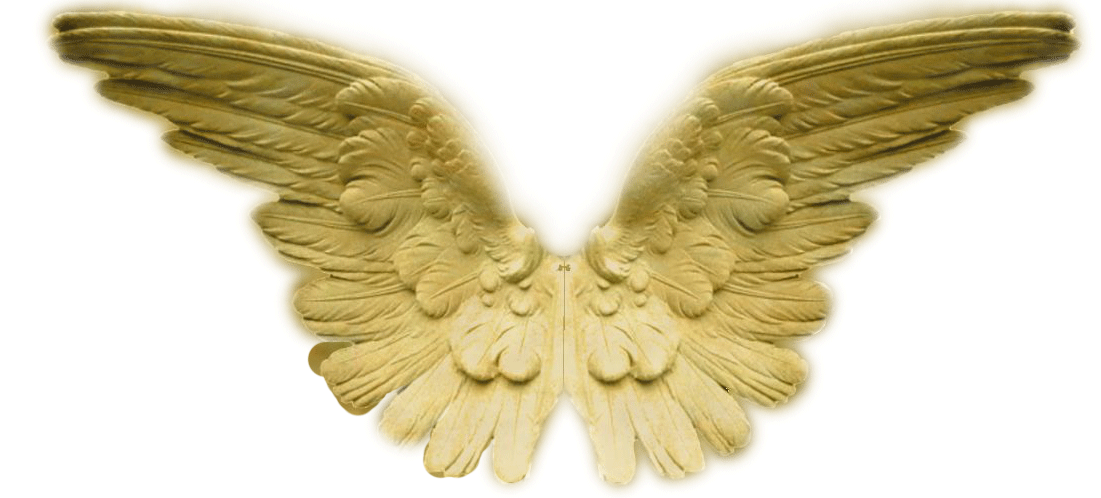http://www.angelwingsministries.org/images/gold_wings2.gif